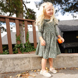 The Long Sleeve Peter Pan Dress in Wisp