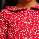 The Long Sleeve Peter Pan Dress in Sugar & Spice