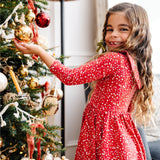 The Long Sleeve Peter Pan Dress in Sugar & Spice