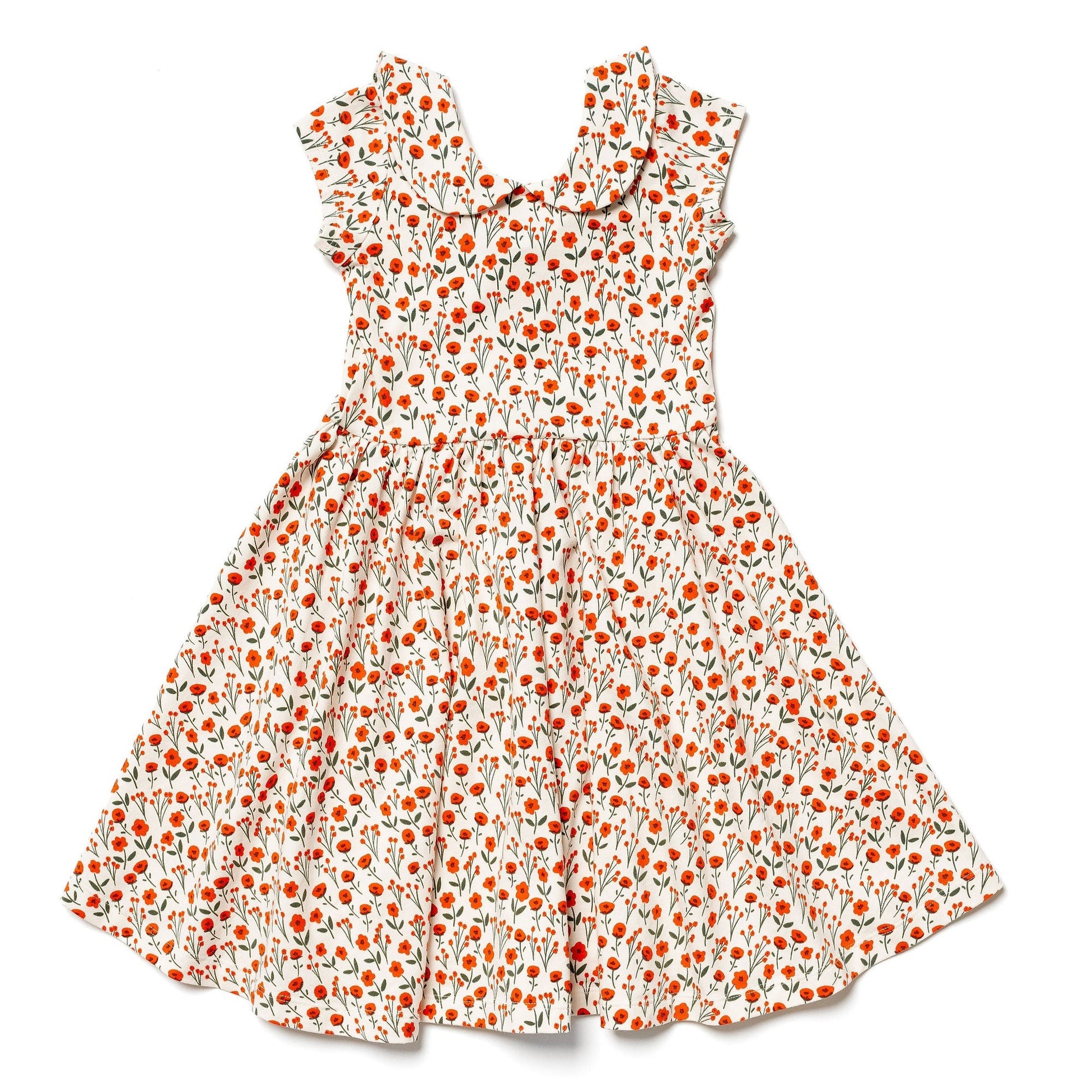 The Peter Pan Ballet Dress in Ruby Floral – Alice + Ames