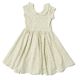 The Peter Pan Ballet Dress in Pinwheel