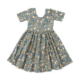 The Short Sleeve Ballet Dress in Mountain Field