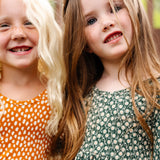The Ballet Dress in Wisp