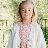 The Peter Pan Ballet Dress in Whimsy