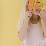 The Short Sleeve Ballet Dress in Blush